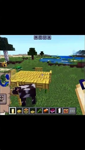 dinner table in Minecraft!🍽️