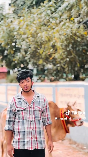 Murad Al Afridi's Reality Unveiled