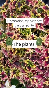 1.5K views · 16 reactions | I've been in this new home for about a month now and my garden is in it's beginning stages. Adding potted annuals to the space made my dream garden party a reality with very little effort. 殺華 I was so lucky to be gifted these gorrrrrgeous annuals from Urban Roots Garden Market as they closed up shop for the end of season. Peep Deep Cutzzz sound check at the end.  | Garden Therapy with Stephanie Rose | Facebook