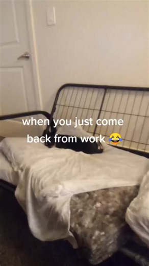 leamer_licous on TikTok