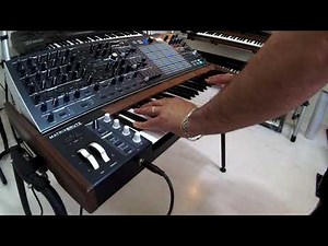 Arturia MatrixBrute , Demo custom sounds