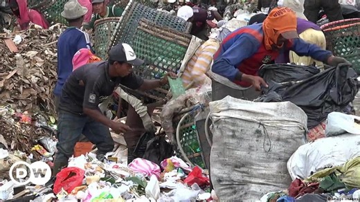 The criminal waste network