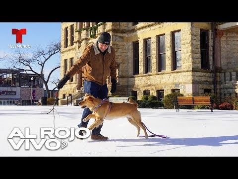 Gran parte de Texas permanece bajo alerta de frío extremo tras la tormenta invernal Fern