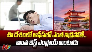 Craziest Jobs And Fruits That Can Only Be Found In Japan #Japan #Job #SleepingJob #NTVNews #NTVTelugu | Ntv Telugu | Facebook