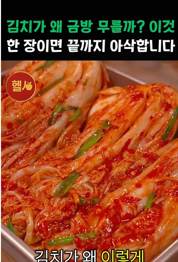 김치 냉장고 사용법으로 아삭한 김치 유지하기