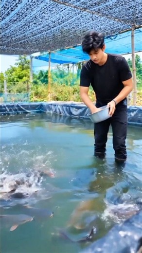I Built a Fish Farm From Scratch! 🐟 Then Caught & Cooked My Own Fish ###