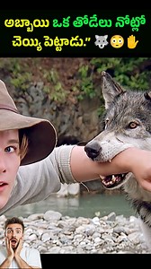 Chained Wolf Set Free by Little Boy… Then This Happened! A little boy frees a wolf that was chained and suffering… days later, the same wolf risks its life to save him from a deadly bear attack! This heart-touching real-life story of true friendship between a human and a wolf will leave you speechless. Watch till the end for the emotional twist! If this story touched your heart, please: Like the video Subscribe & Hit the Bell Comment “True Friendship” below! #WolfAndBoy #TrueFriendship #Emotiona