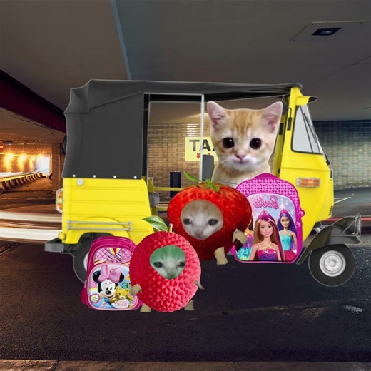 Litchi Cat Late & Tricks Yapapa Cat School Day 😺❤️ #catmemes #cat #shorts #fyp #bananacat