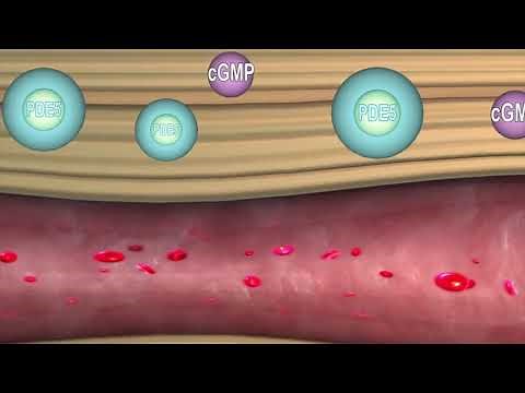 Take Viagra for the first time? Here's how it works and get the best results