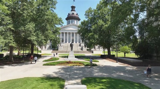 Upstate elections official appointed to SC State Election Commission