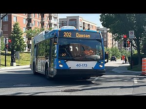 STM + few STL bus compilation (June 2025)