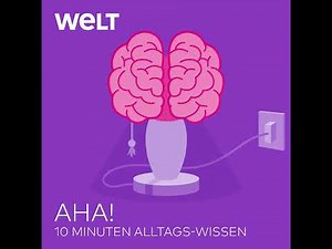Patchwork-Familie – So kann es für alle funktionieren | WELT Podcast
