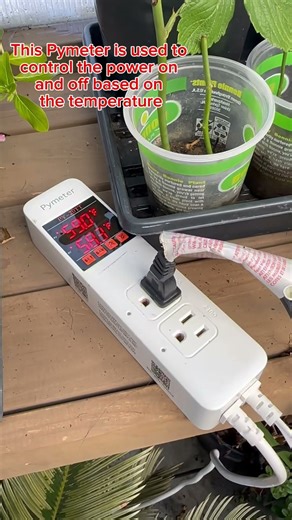 How to Keep the Green House Warm in Winter Night | Heater and Pymeter are very useful