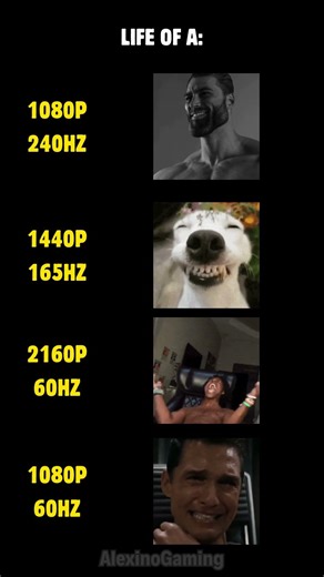 Which Monitor you have? #pcbuild #pcgaming #benchmark