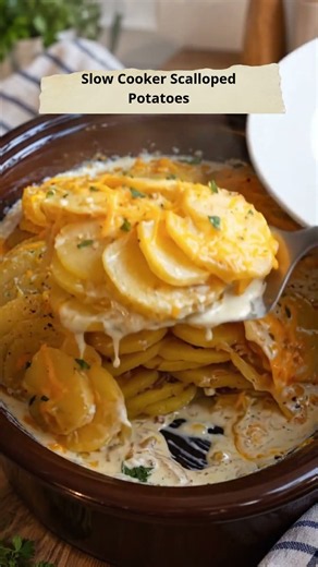 SLOW COOKER SCALLOPED POTATOES 🥔