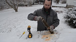 Are your suet feeders empty? Help the birds out this winter with some homemade suet in a DIY feeder! | University of Illinois Extension