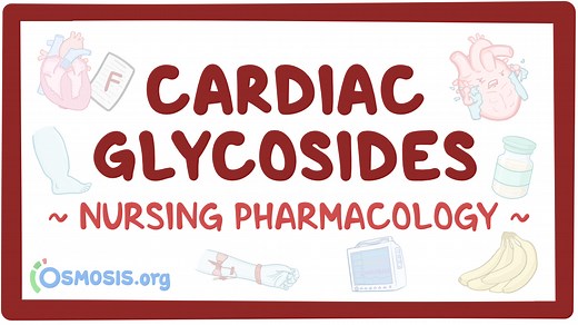 Cardiac glycosides: Nursing pharmacology: Video, Causes, & Meaning | Osmosis