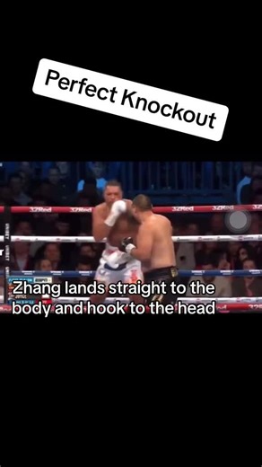 Perfect knockout #boxing #martialarts #ufc #fyp