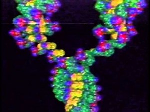 PBS WGBH NOVA Intro (1981)