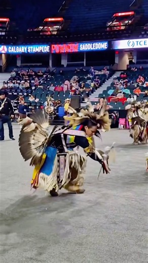Men's traditional dancer Marcus McAdam🪶🤎 #indigenous #powwow #traditional #dance #culture #shorts