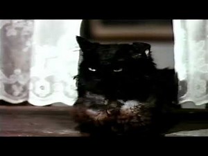 Closing To Bedknobs And Broomsticks 1989 VHS (French Canadian Copy)