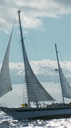 It Would Be Nice to Sing Today - 50 First Dates