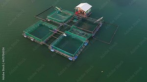 Milkfish cage farming in clear green water bay aerial view in Philippines