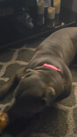 Demetrius Jackson on Reels