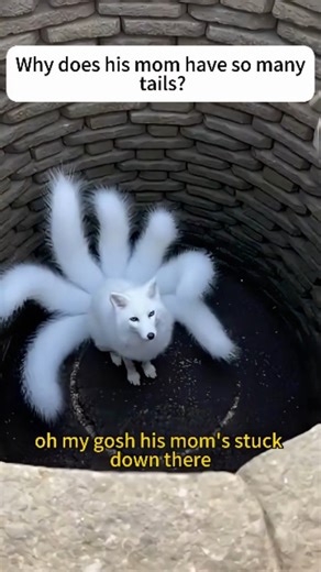 @yamatosenseii on Instagram: "The Tea Drinker and the Snow Spirit Yamato was a man of two worlds. Born and raised in London but living in a quiet cottage at the foot of Mount Fuji, he lived a simple life with his companion, Barnaby. Barnaby was a stout, posh British Shorthair with grey fur and an air of permanent unimpressed dignity. One snowy evening, Barnaby spotted something shivering near the veranda. It wasn't a bird or a stray cat. It was a tiny, snow-white fox cub with nine delicate tails