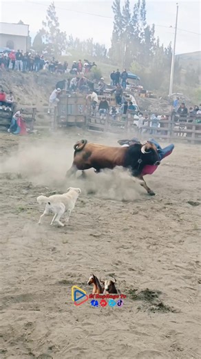 7.1M views · 47K reactions | Valiente Torero 怜 #fblifestyle | El RupAngo Tv Ec | Facebook