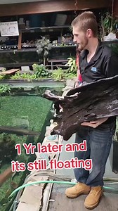 3.4M views · 10K reactions | This Log is still floating a year later #fish #aquarium #pond #fishing #reels | Ohio Fish Rescue | Facebook