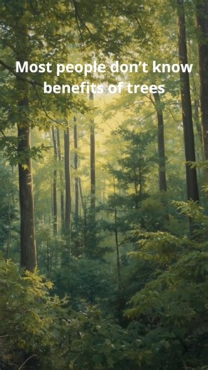 🌴why trees are important #shorts #trees