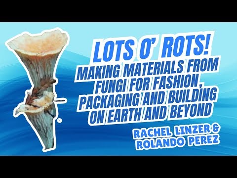 Making Materials From Fungi for Fashion, Packaging and Building - Rachel Linzer & Rolando Perez