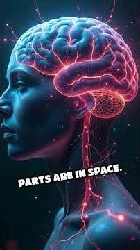 The Phantom Touch: Mind-Bending Tactile Illusions