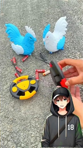 Blue and White 2 Remote control Chicken Murga unboxing🤎