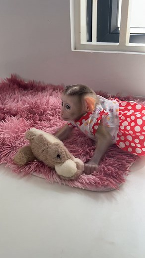 Mud Fish #mudfish #fishing #catchfish #trapfish #smallfish #reelfish | Monkey Daily