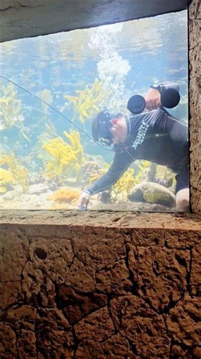 Coral reef aquarium maintenance diver Xcaret Playa del Carmen Mexico tropical Caribbean Sea #travel