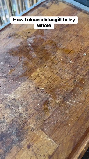 Cleaning a fish to fry whole #cooking #fishing #easyrecipes #outdoors #cheapprice #seafoodlover | Wade Fishez