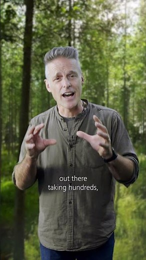 How AI sees wildlife