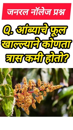 Q. आंब्याचे फुल खाल्ल्याने कोणता त्रास कमी होतो? 2026 के Most Expected GK question