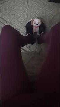 Slave dog to mistress