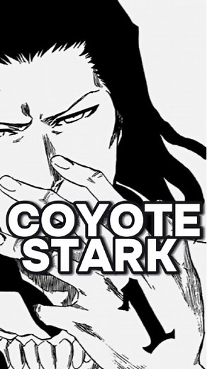 Coyote Stark: La Soledad del Espada en Bleach