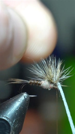Most Fly Tiers Avoid This Technique