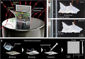 Researchers develop soft electromagnetic actuators with medical potential – Lifeboat News: The Blog