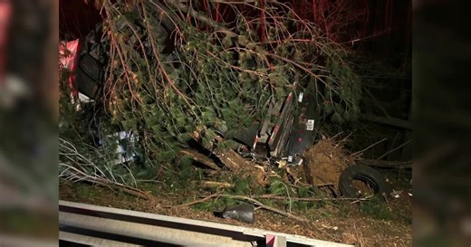 Police ID driver killed on Interstate 295 when semi hauling milk hit car on shoulder, crashed into trees