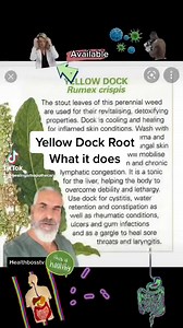 Yellow Dock Root Tea Benefit: Laxative • Tonic • Bacterial Infections • Fungal Infections • Arthritis • Respiratory Tract • Mucus Removal • Immune Support • Hormonal Balance • Digestion • Blood Sugar Balance • Bitters • Skin Health • Detox Support • Fasting Aid • Liver & Bile Production #HealthBossTV #HealingArtsApothecary #Healingartsme #Healthbosstv #Health #BeYourOwnHealthBoss #health | Healing Arts