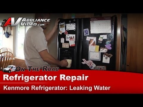 Kenmore Refrigerator Repair - Leaking Water - 25354669402