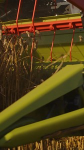 Mehr Effizienz, weniger Verbrauch! 💰 Der CLAAS TRION Schüttler kombiniert schonenden Drusch, top Strohqualität und maximale Leistung. Dank DYNAMIC POWER sparst du bis zu zehn Prozent Kraftstoff, während CEMOS AUTOMATIC alles optimal einstellt. ✌🏻💡 Finde jetzt den perfekten TRION für deinen Betrieb! 💪 | CLAAS