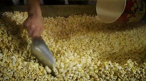 The previews are the best part! | The Penny Hoarder