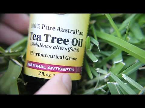 Tea tree oil for a bad nail!